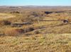 County Rd 462 photo